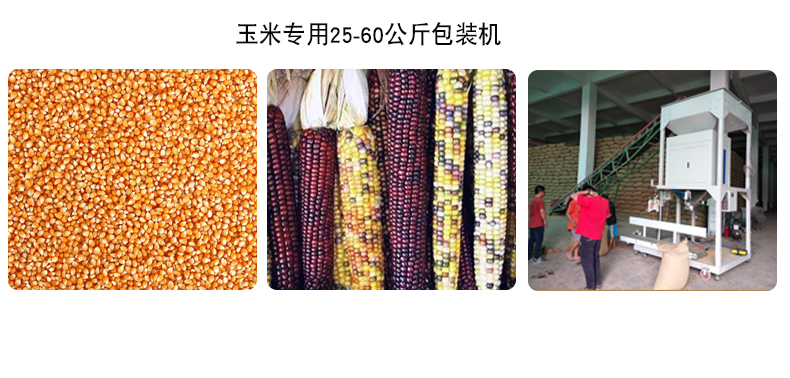 25-60公斤玉米自動定量包裝機